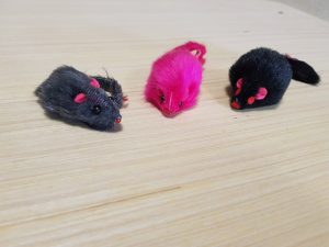 bohemia mimi mouse