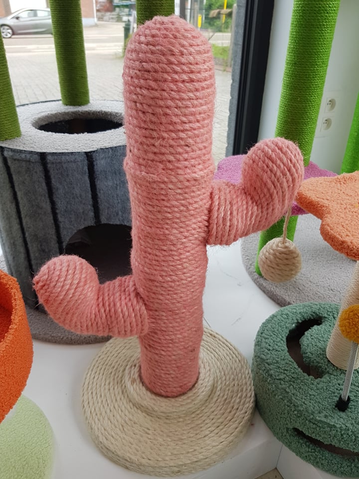 kittenpaal pink cactus